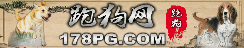 跑狗网心水论坛(178pg.com)